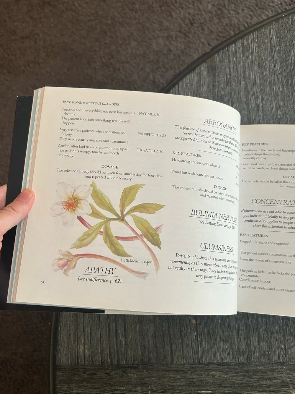The Family Health Guide to Homeopathy | Dr Barry Rose
